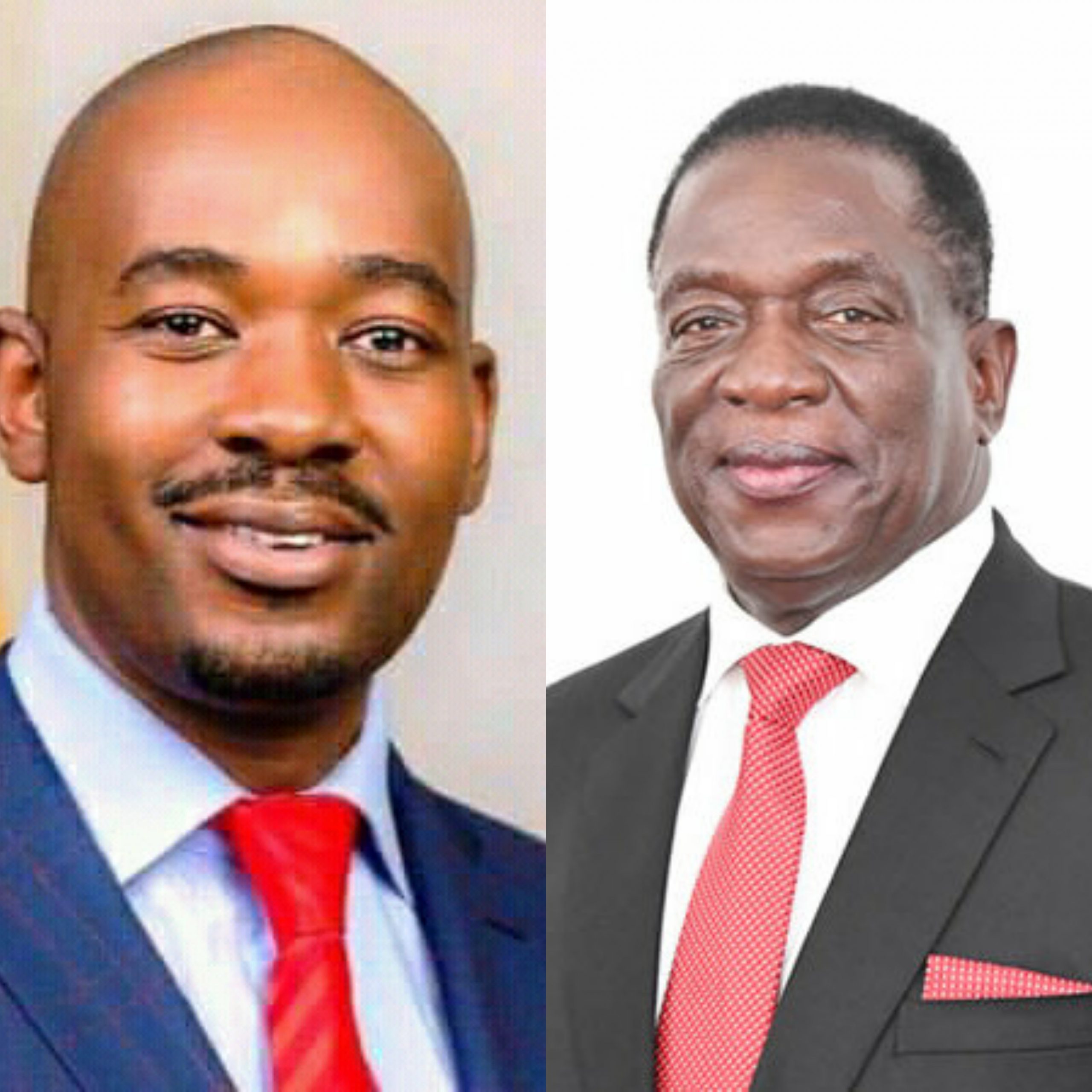 Vote Out Zanu PF – MDC Alliance