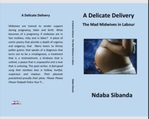 Internationally acclaimed writer Ndaba Sibanda author of more than 20 published books and coauthor of more than 100 published books announced his next book titled A Delicate Delivery: The Mad Midwives In Labour". The book is expected to be published this year in the USA at a date to be announced. The opening of the book constitutes of words that are borrowed from the poem titled "The Magic Of The Rainbow".