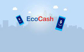 EcoCash Holdings in marketing awards haul