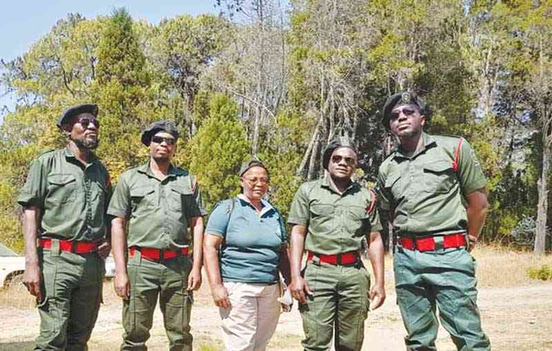 Bundu series captures poaching issue