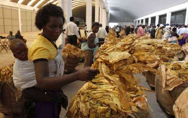 Tobacco sales rake in US$650,3 million 