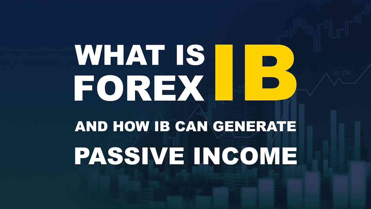 Basics of Forex IB Commission