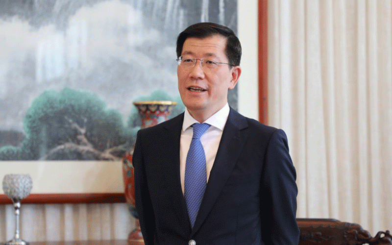 China pledges more investment support to Zim