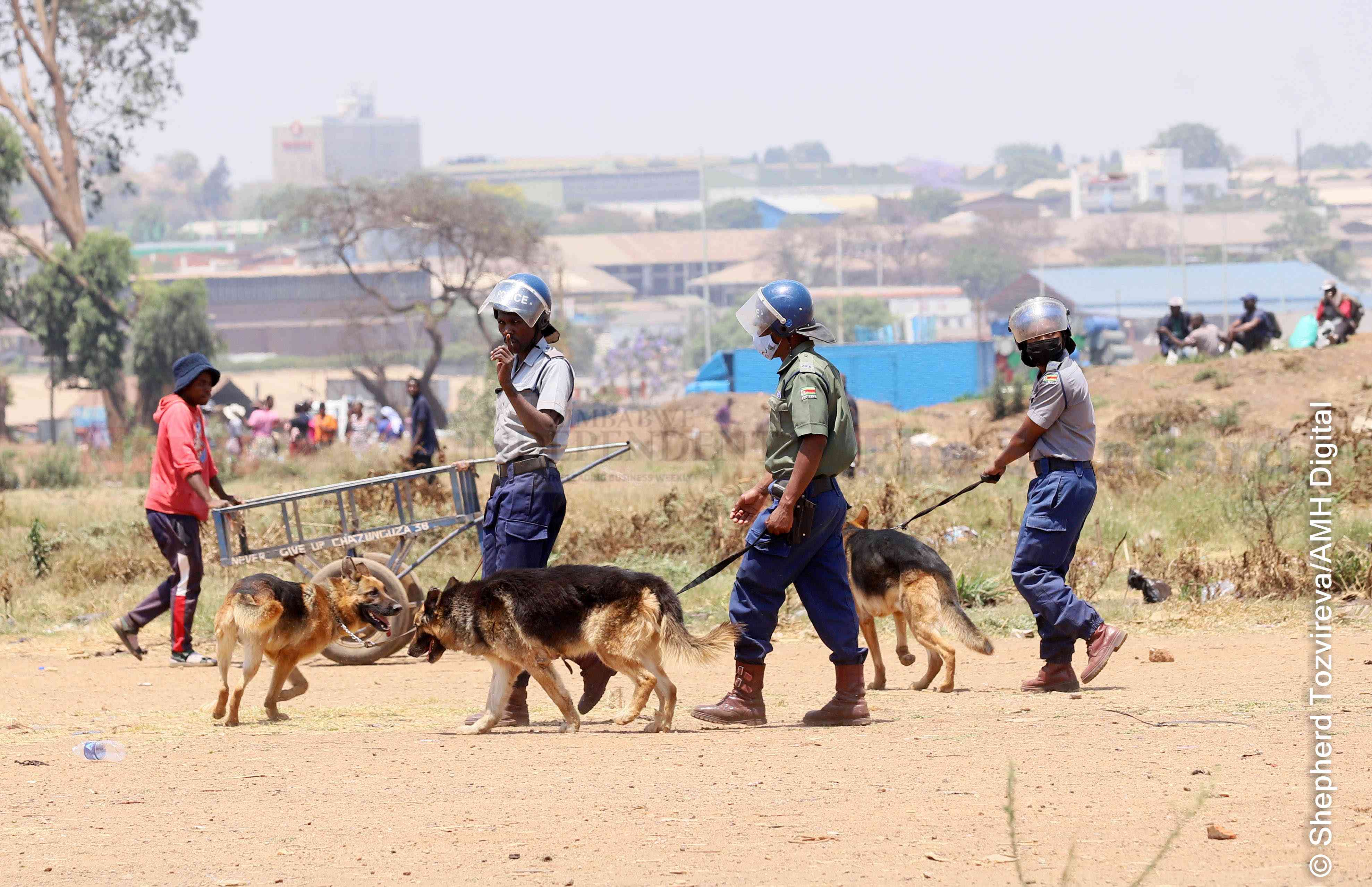 ZRP Canine Unit stepped in to restore order