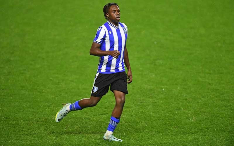 Fusire revels in ‘dream’ Sheffield Wednesday debut