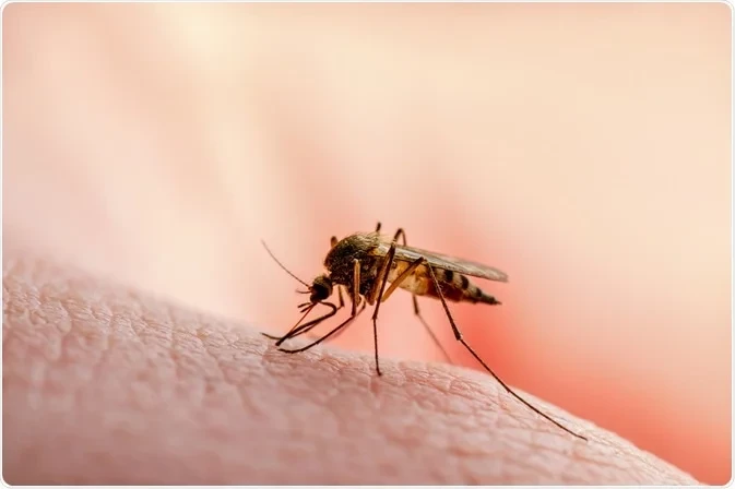 Malaria claims 39 lives