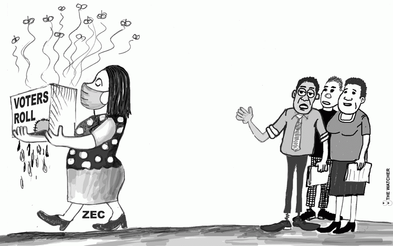 NewsDay cartoon 13 July, 2023 edition. -Newsday Zimbabwe
