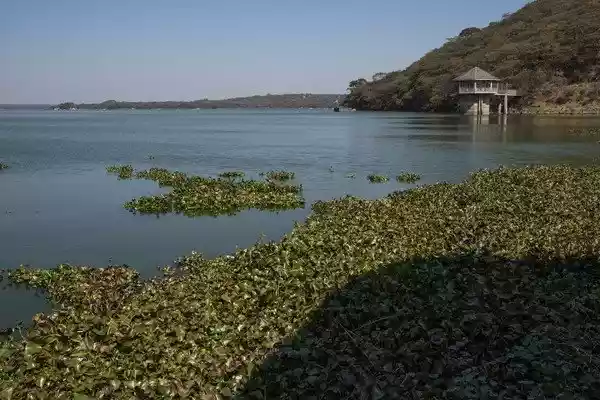 ‘Lake turn’ phenomenon hits Harare water supplies 