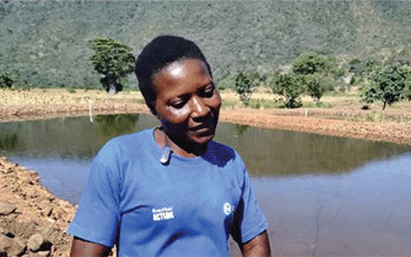 Feature: Fishponds bring hope for Cyclone Idai victims