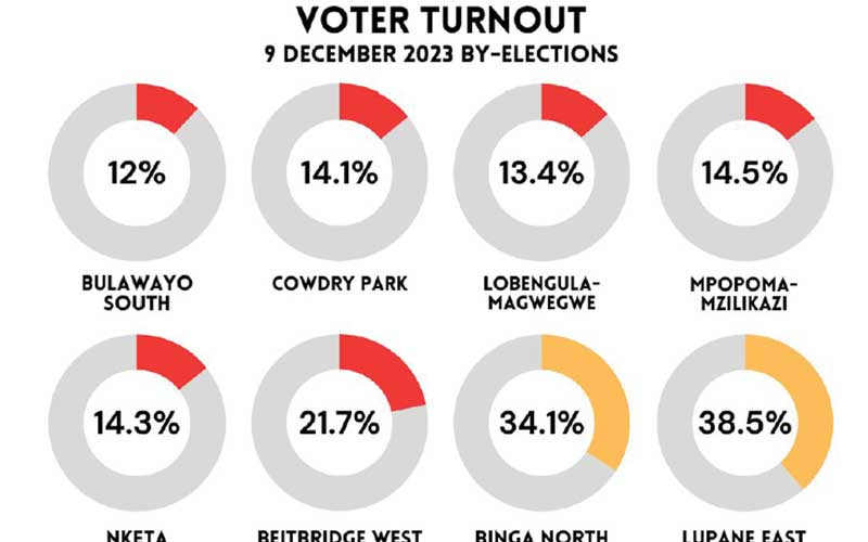 20% vote in ‘sham’ polls