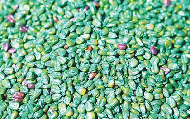 Fake seed dealers rip off farmers