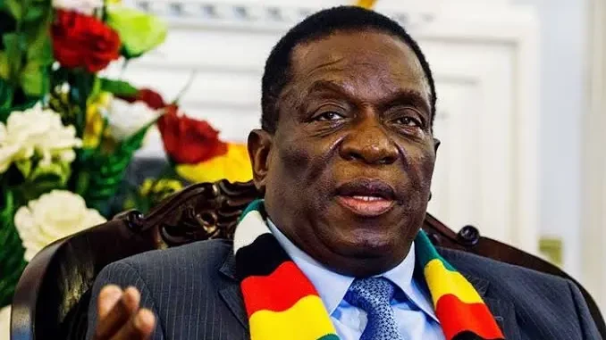 ‘Zim wants to bolster relations with Russia despite US pressure’ 