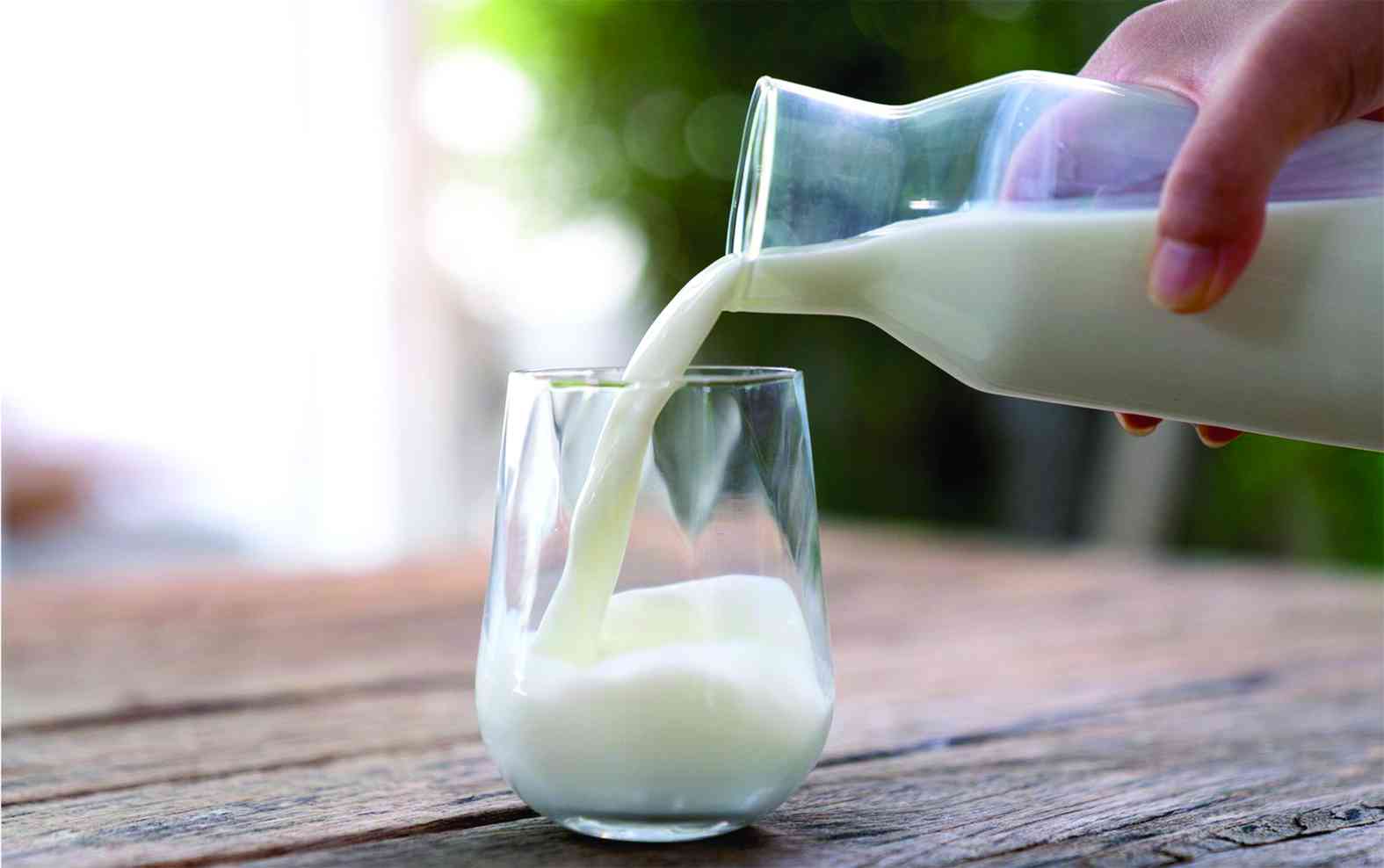 Demand for milk seen softening