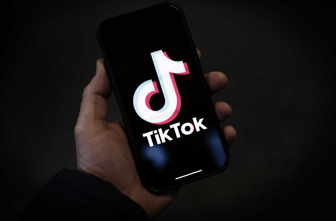 TikTok suspends opposition leader’s account