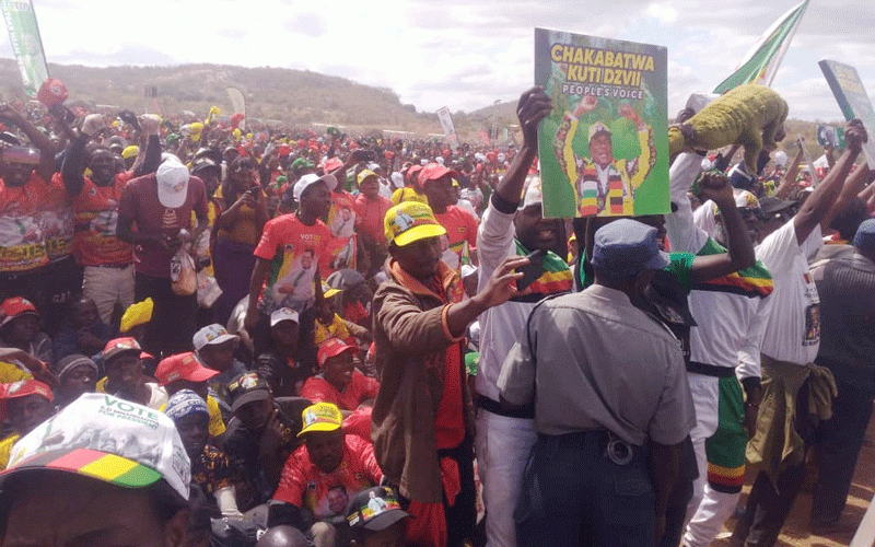 Zanu PF shelves ‘Thank You’ rallies