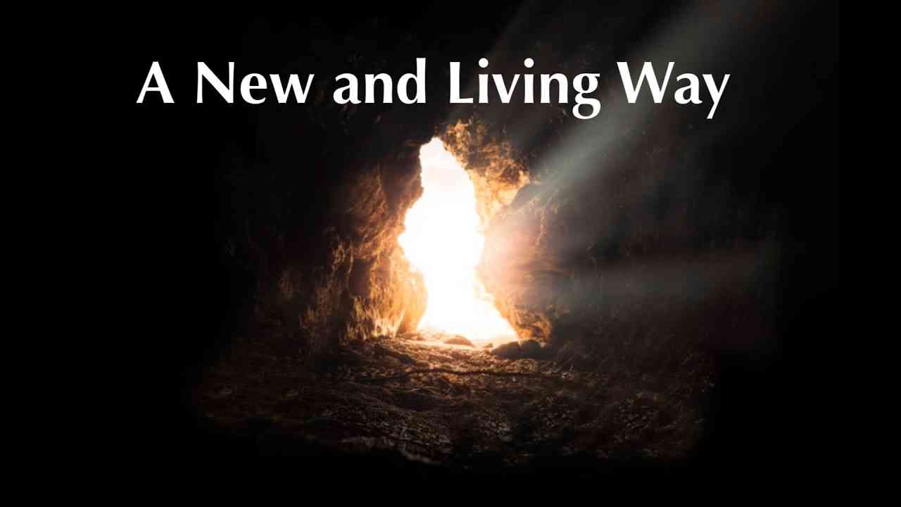 New and living way