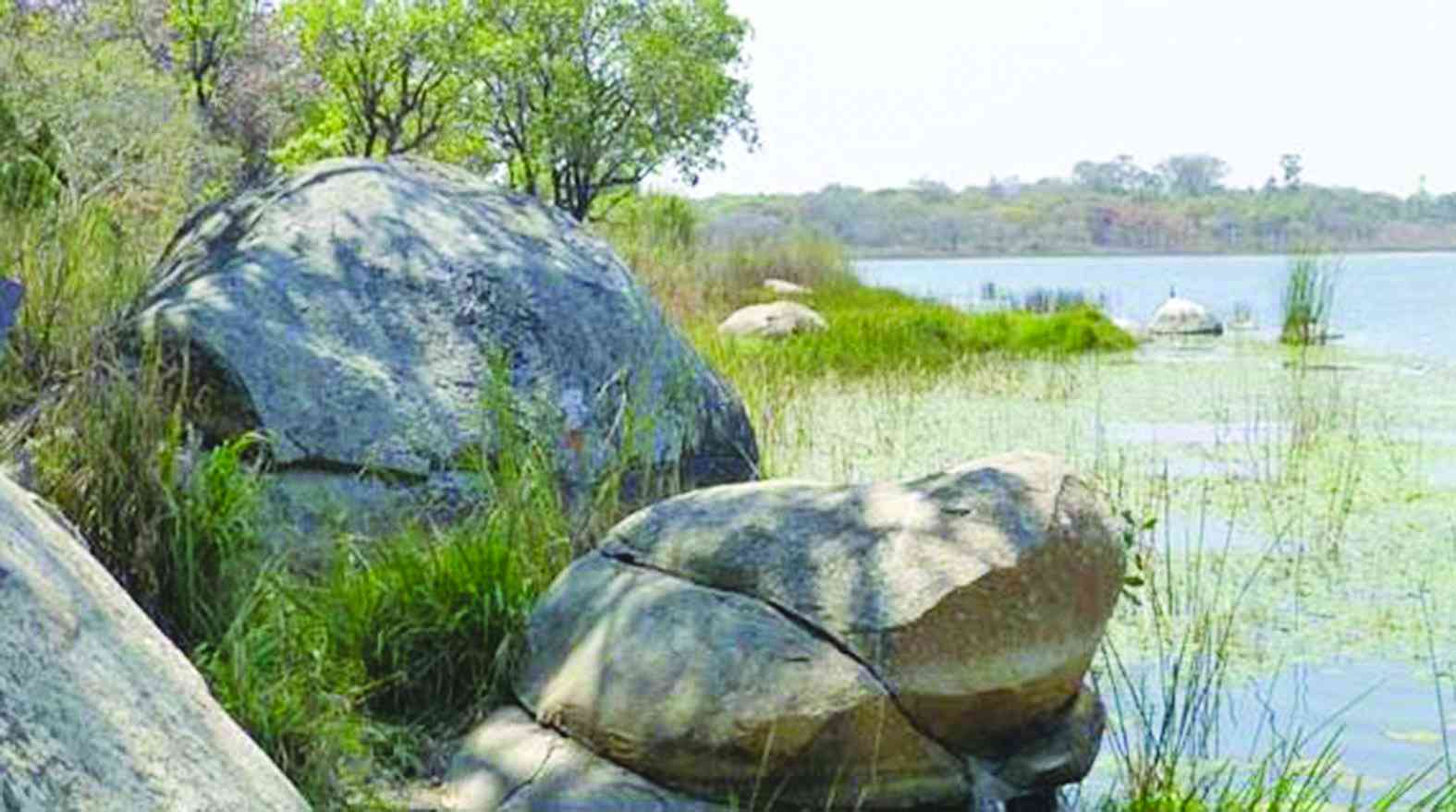 Residents’ concern over destruction of wetlands