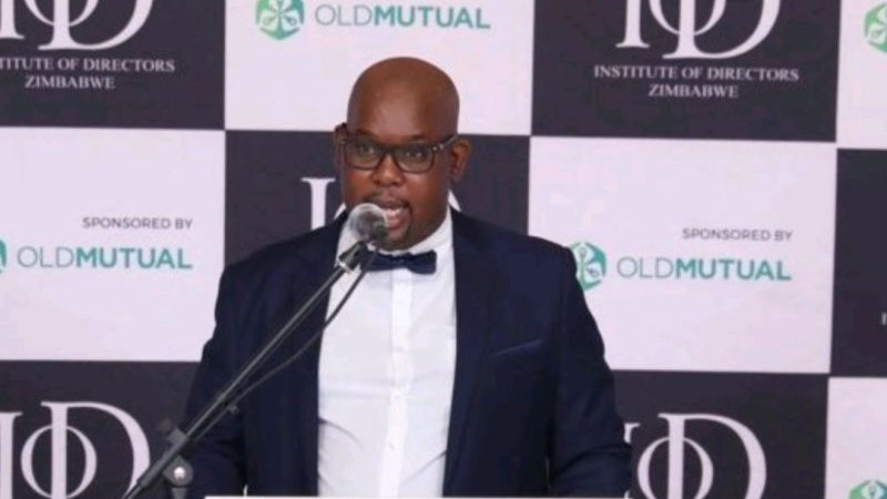 IoDZ launches Bulawayo chapter
