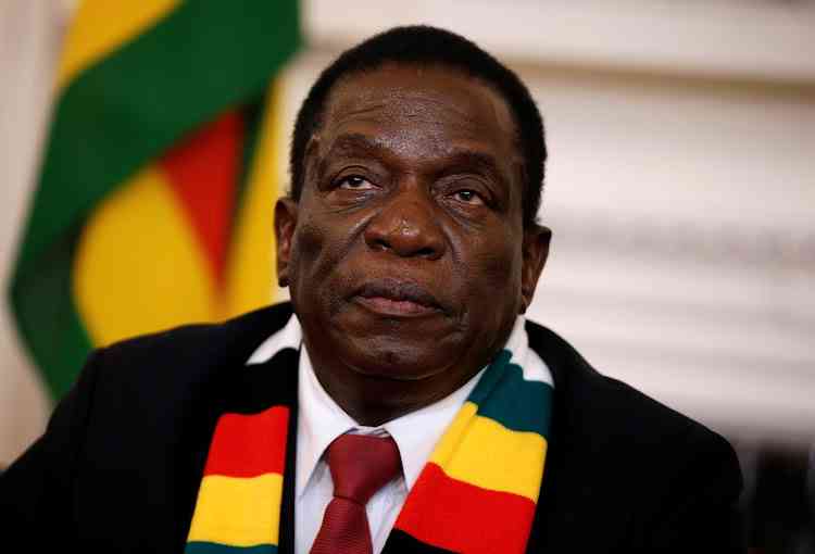 Zanu PF in ED bootlicking frenzy