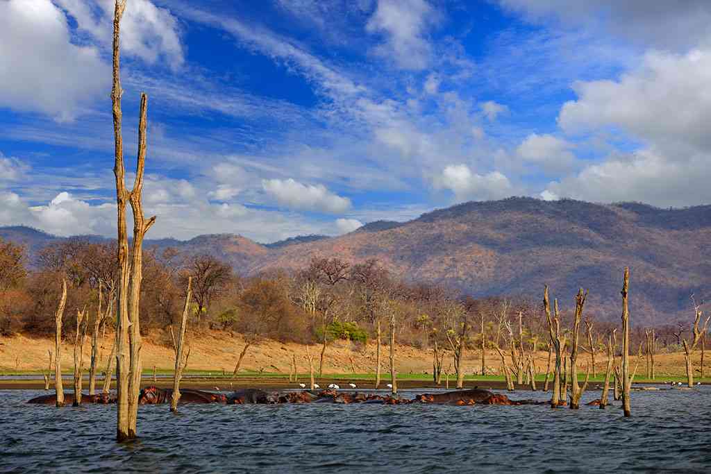 2 fishermen’s bodies recovered in Lake Kariba