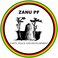 Zanu PF activists in court, face cyberbullying charges