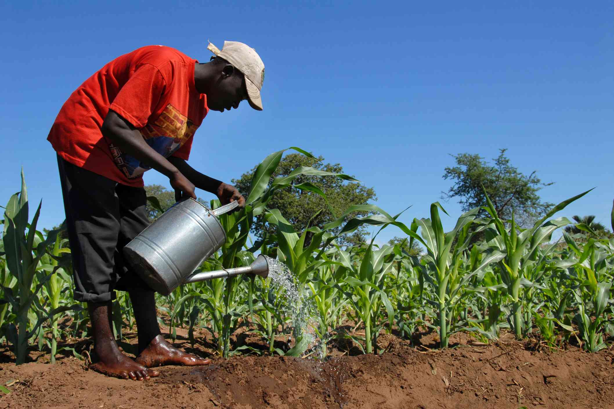 Govt turns to climate-smart agriculture