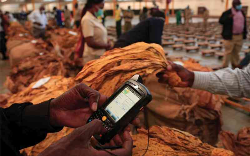 Golden leaf farmers threaten to withhold crop