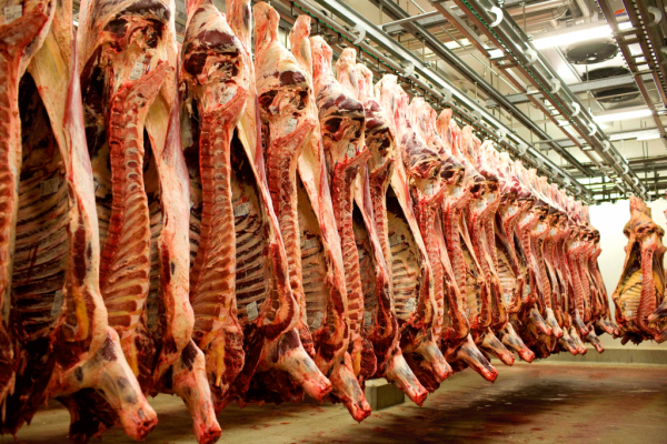 CSC re-opening uncertain