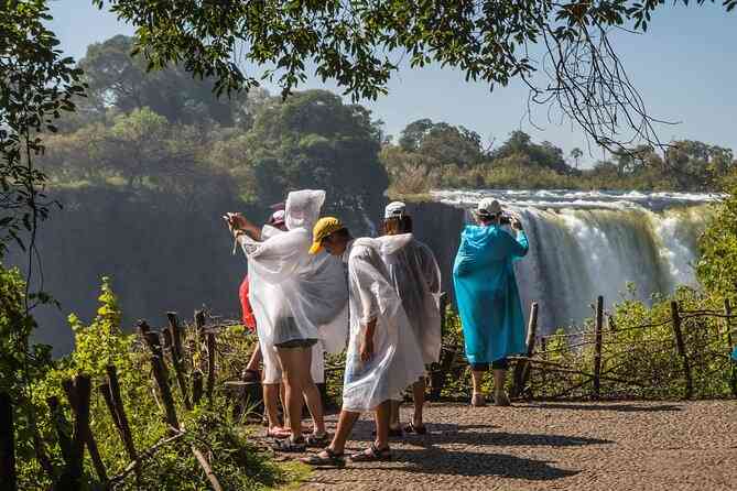 Victoria Falls rain forest records surge in international visitors