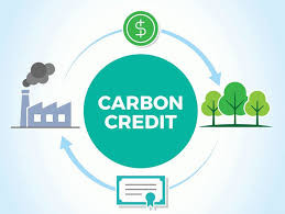 Govt aims to tap into US$200m local carbon credits market