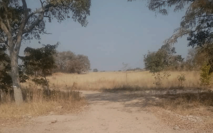 Father of 17 among 20 Zanu PF families chucked off farm
