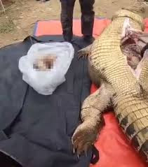 Croc’s stomach reveals horrific remains of Binga fisherman