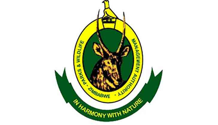 Zimparks flags mining activities in parks
