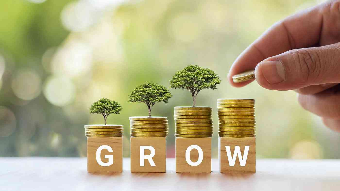 Money, resilience, sustainability and growth are in mastering the details