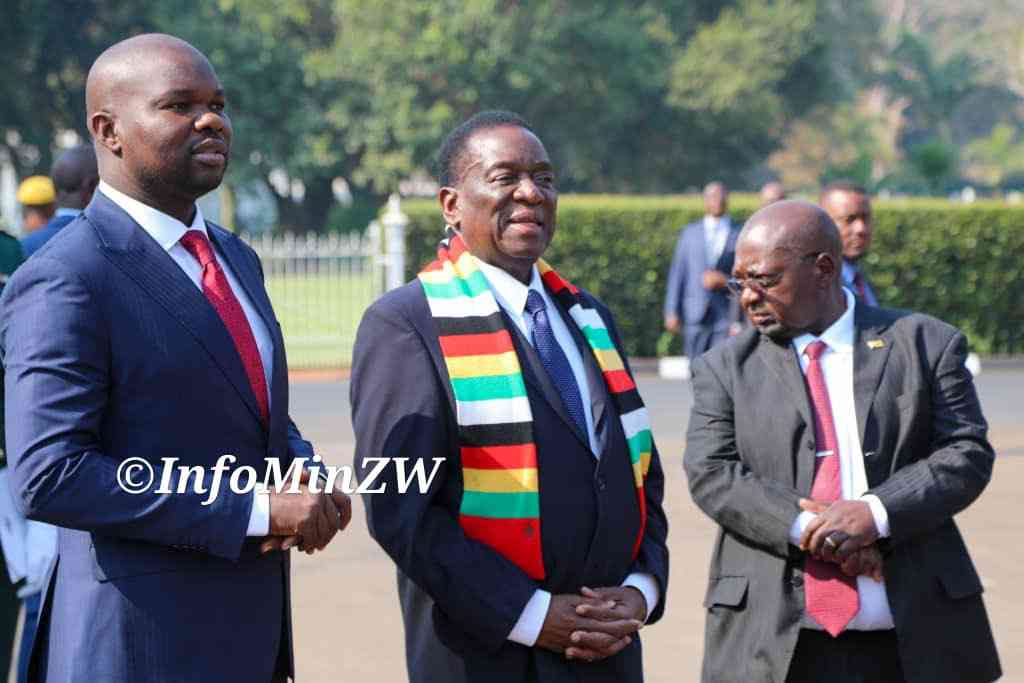 Health crisis: Minister sends SOS to Mnangagwa