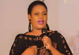 PVO law: CSOs feel the heat