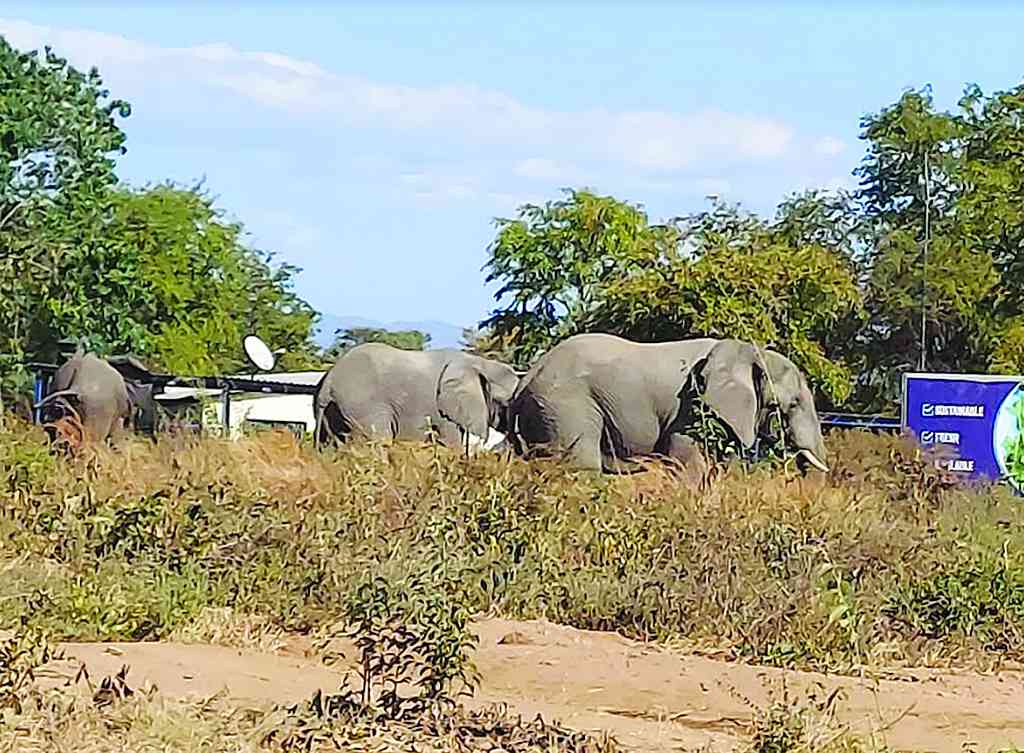 Expedite review of Parks Act: Stakeholders