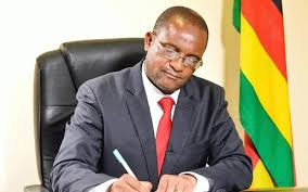 Mwonzora in 2030 pushback
