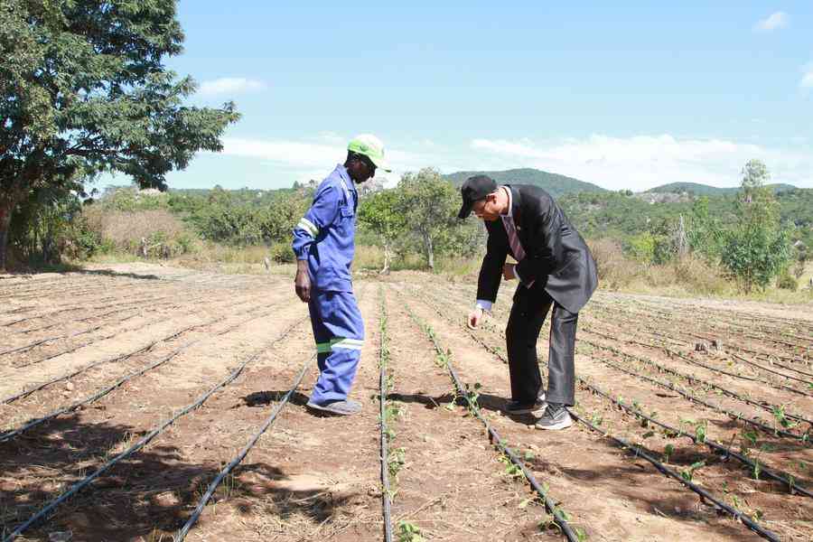China-aided agricultural demonstration village launched in Shamva