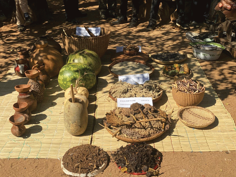Women cultivate resilience and food security through agroecology