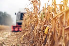 Strengthening agricultural development in Zim through Belarusian mechanisation support