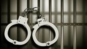 Property mogul arrested for land theft