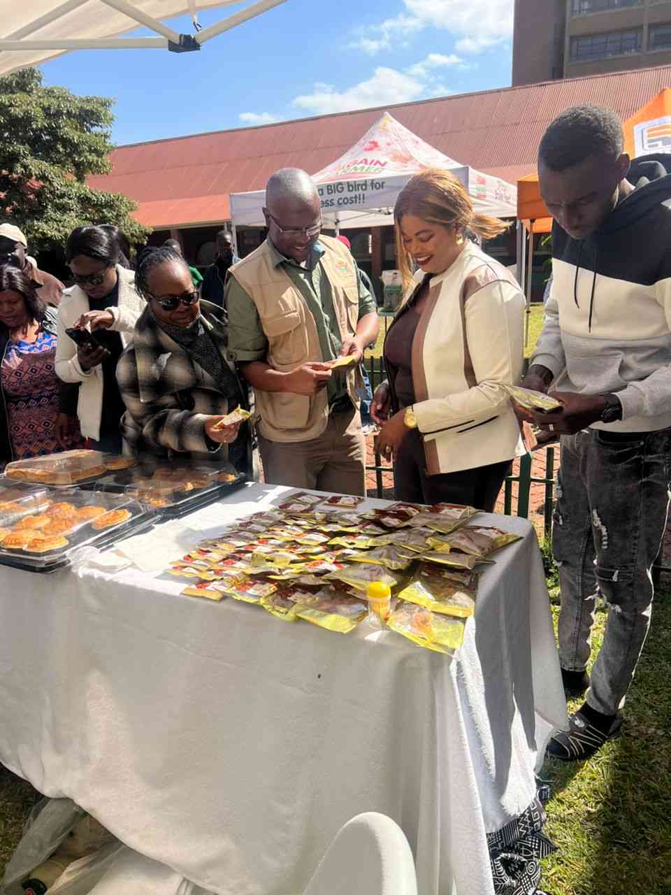 Zimbabwe ramps up rabbit farming capacity amid rising demand
