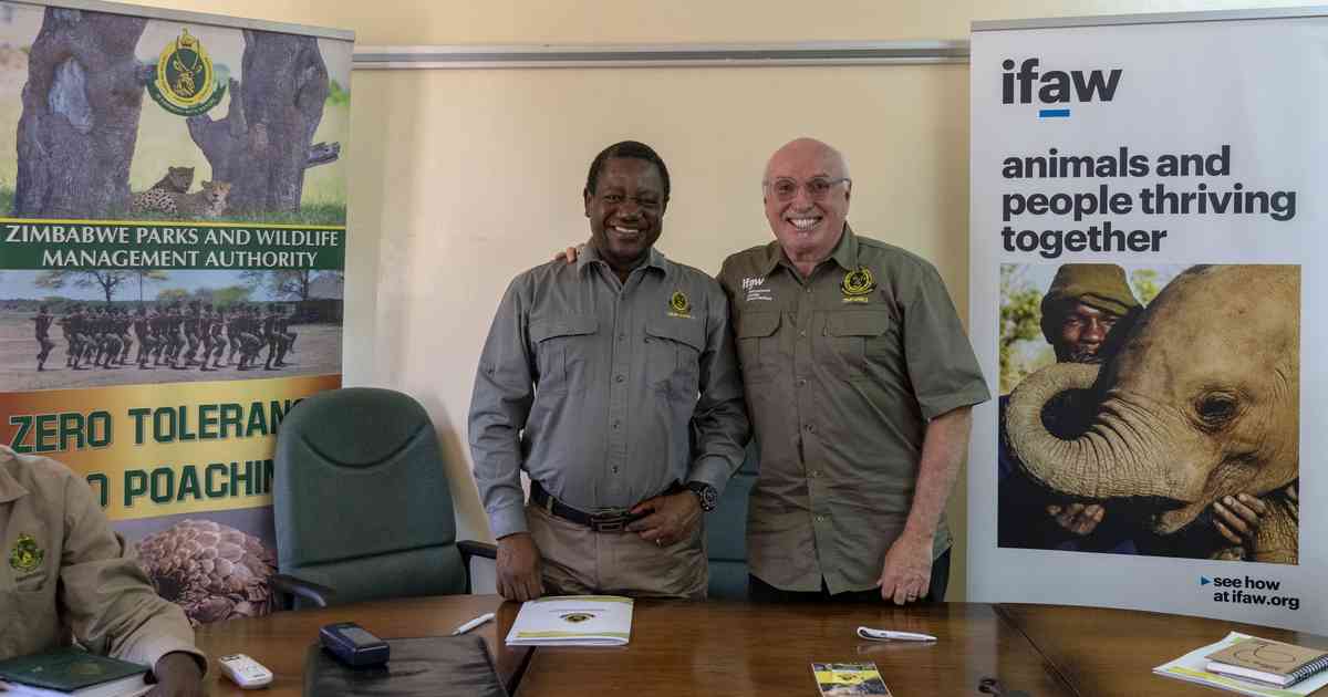 IFAW, ZimParks toast to partnership