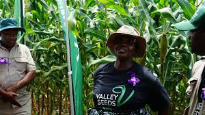 Preps for 2025/26 cropping season in full swing
