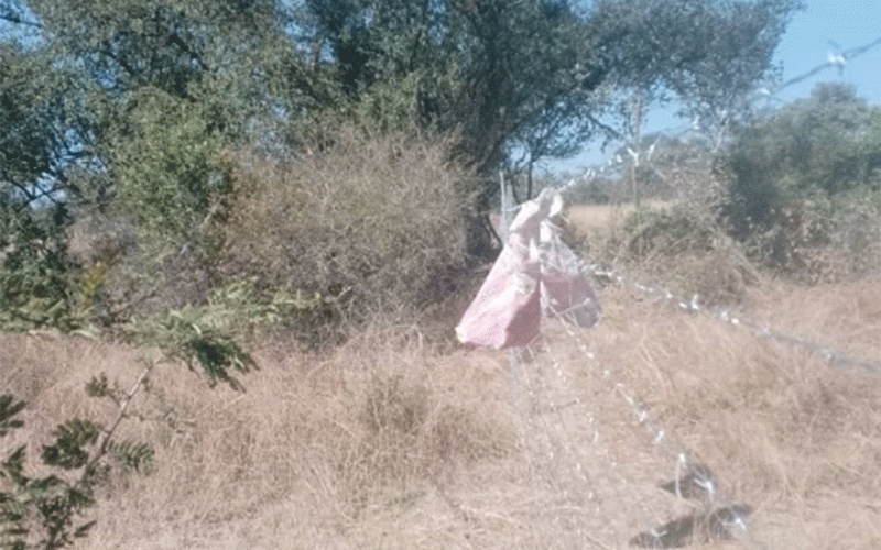 Army colonel invades national hero’s farm. . . family lives in fear of losing private property