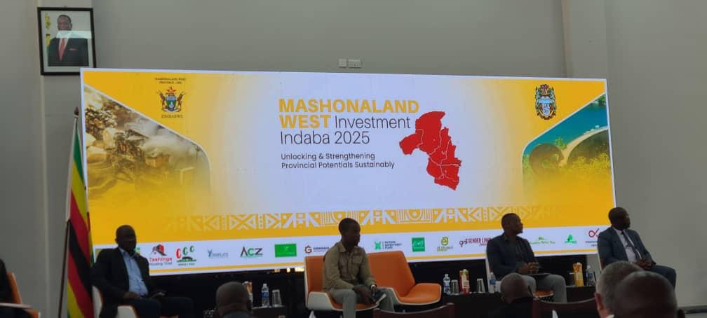 Create policies to prop up investment: Mutapa Investment Fund boss