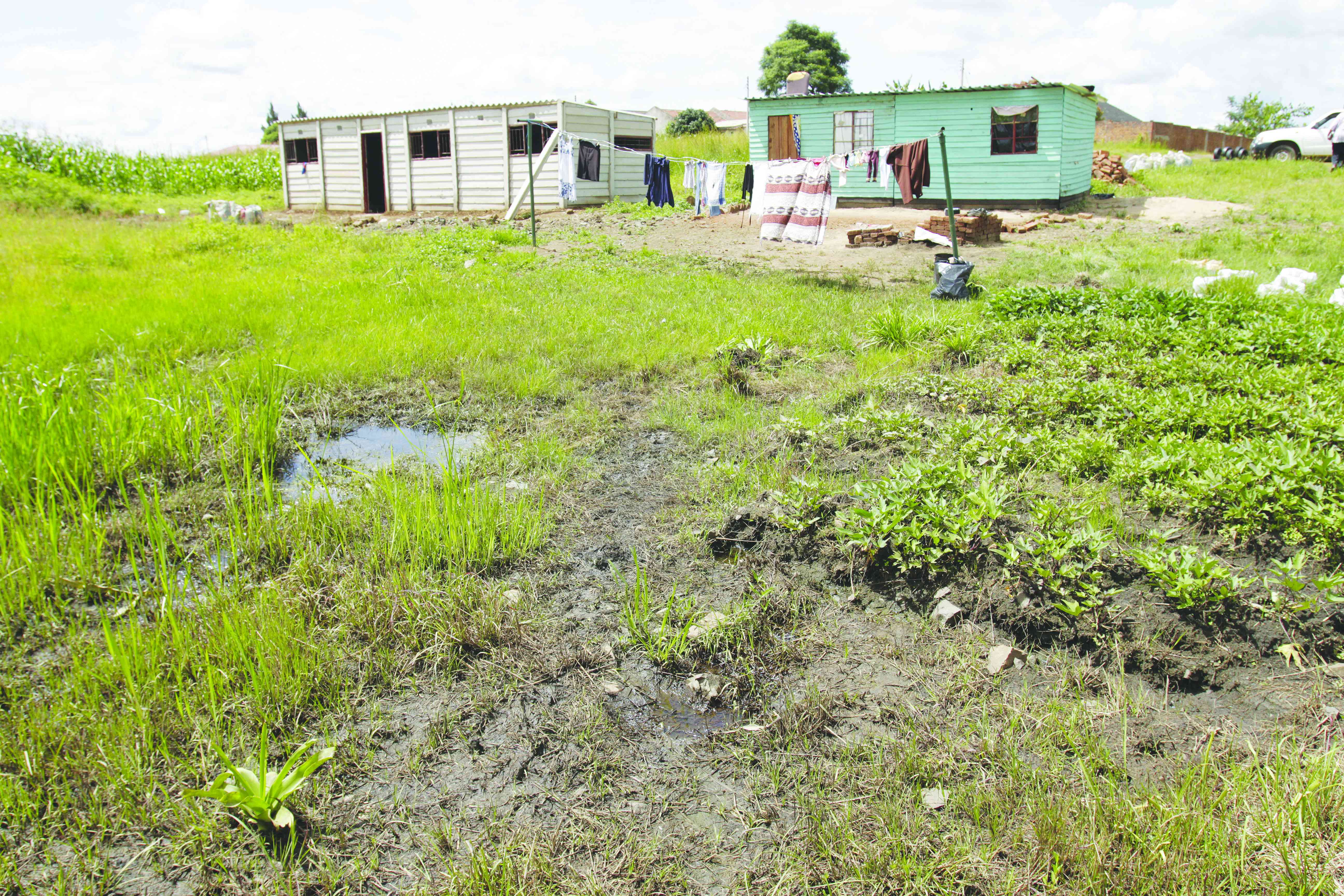 Land barons wreak havoc in Harare