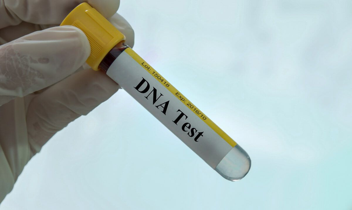 Push for DNA test before maintenance in Parly