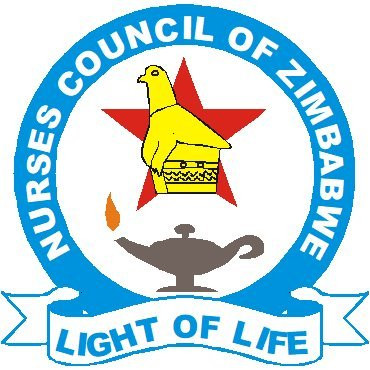 Institute fires back at Nurses Council